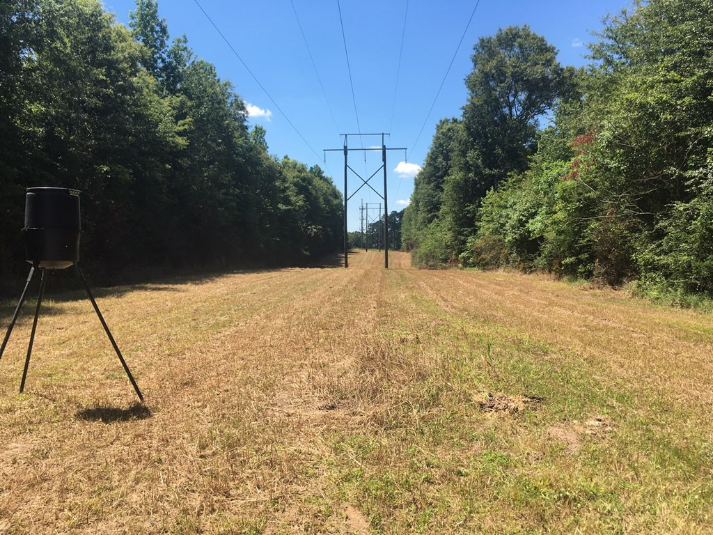 4350 Pumping Station Road Osyka, MS 39657 - Photo 12 of 33 Photo 12
