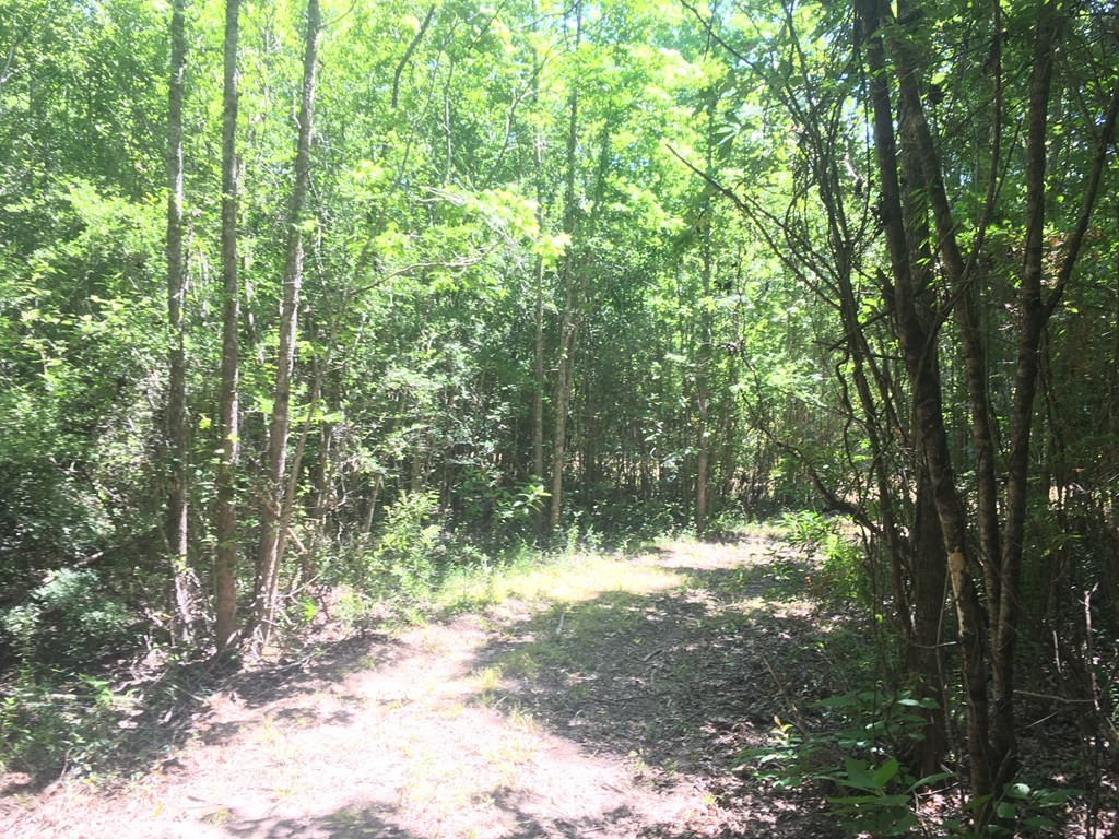 4350 Pumping Station Road Osyka, MS 39657 - Photo 14 of 33 Photo 14