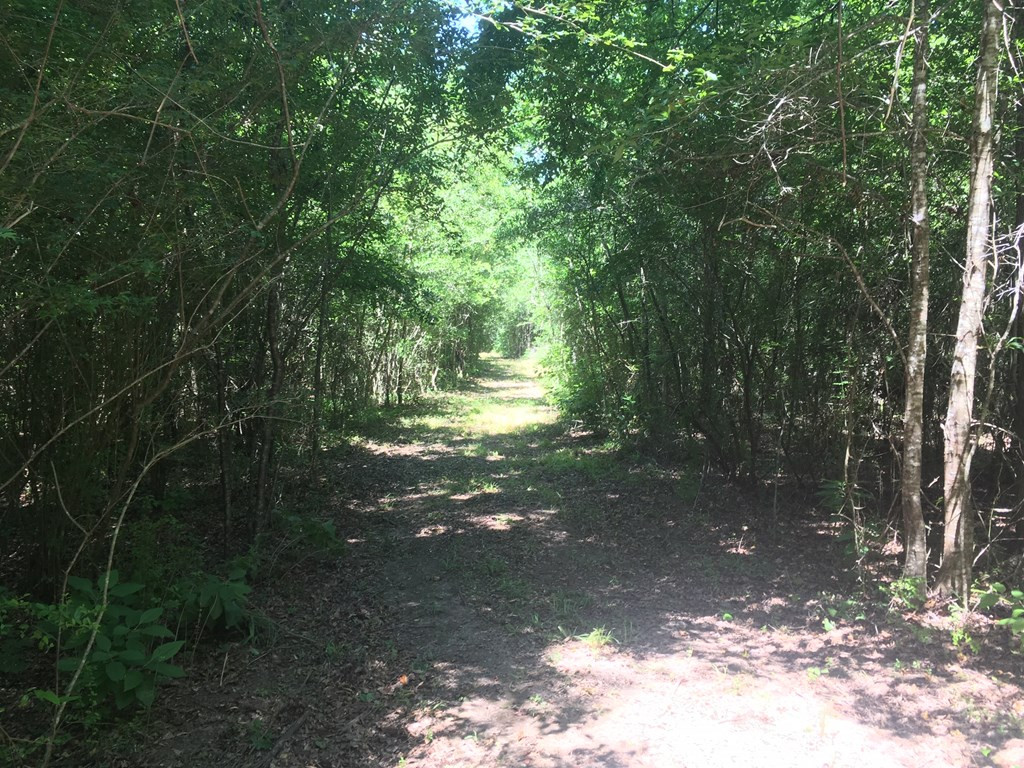 4350 Pumping Station Road Osyka, MS 39657 - Photo 15 of 33 Photo 15