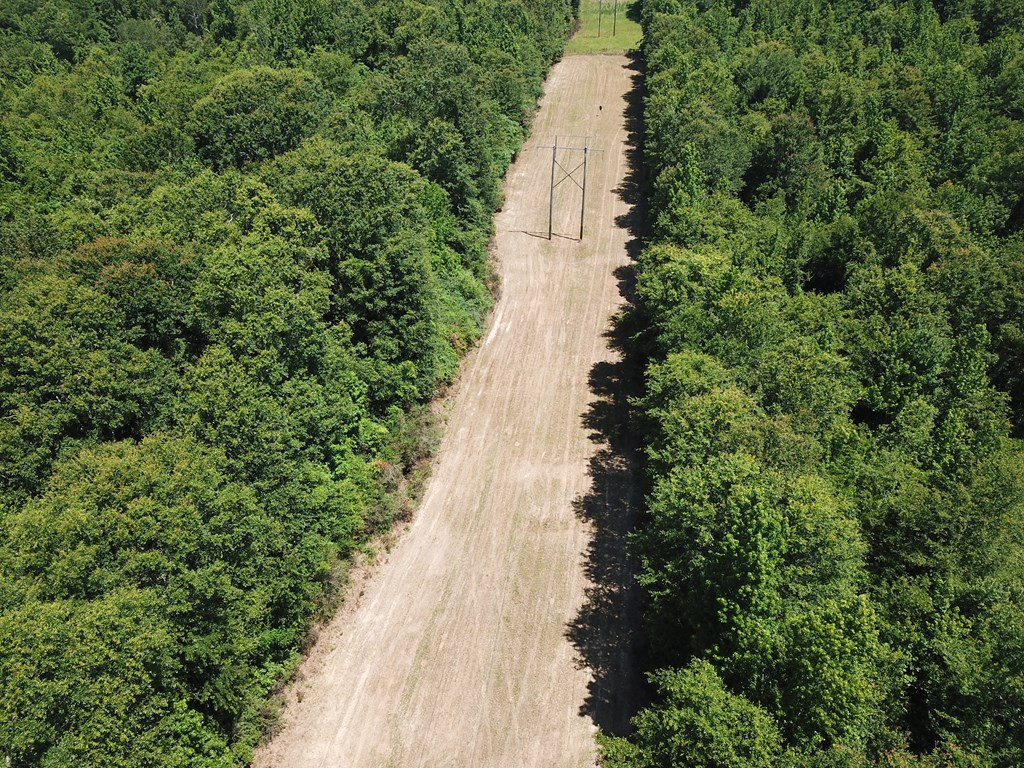 4350 Pumping Station Road Osyka, MS 39657 - Photo 2 of 33 Photo 2