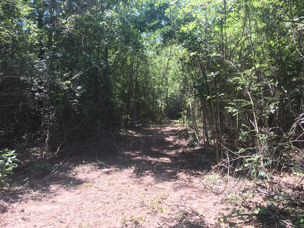 4350 Pumping Station Road Osyka, MS 39657 - Photo 21 of 33 Photo 21