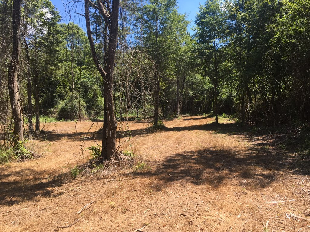 4350 Pumping Station Road Osyka, MS 39657 - Photo 22 of 33 Photo 22