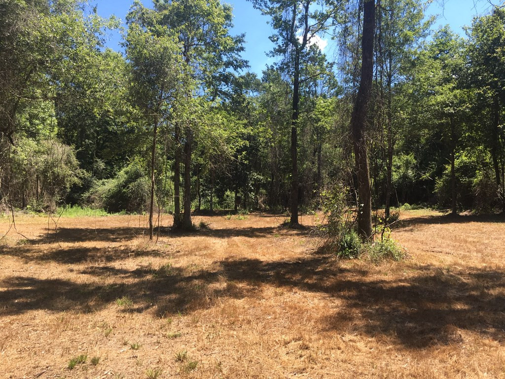 4350 Pumping Station Road Osyka, MS 39657 - Photo 25 of 33 Photo 25