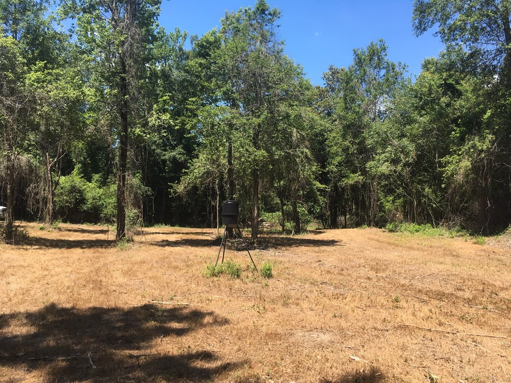 4350 Pumping Station Road Osyka, MS 39657 - Photo 26 of 33 Photo 26