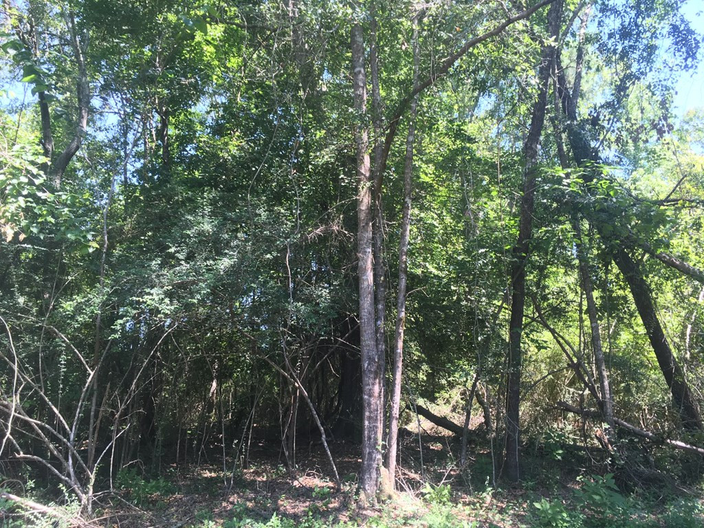 4350 Pumping Station Road Osyka, MS 39657 - Photo 27 of 33 Photo 27