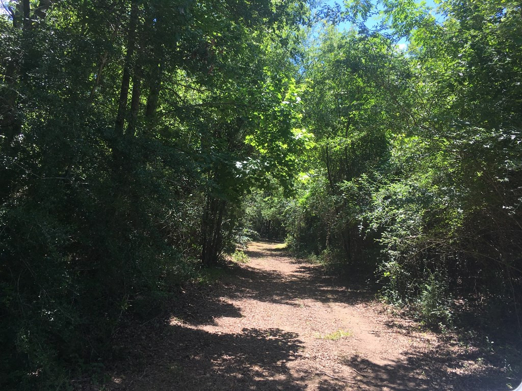 4350 Pumping Station Road Osyka, MS 39657 - Photo 28 of 33 Photo 28