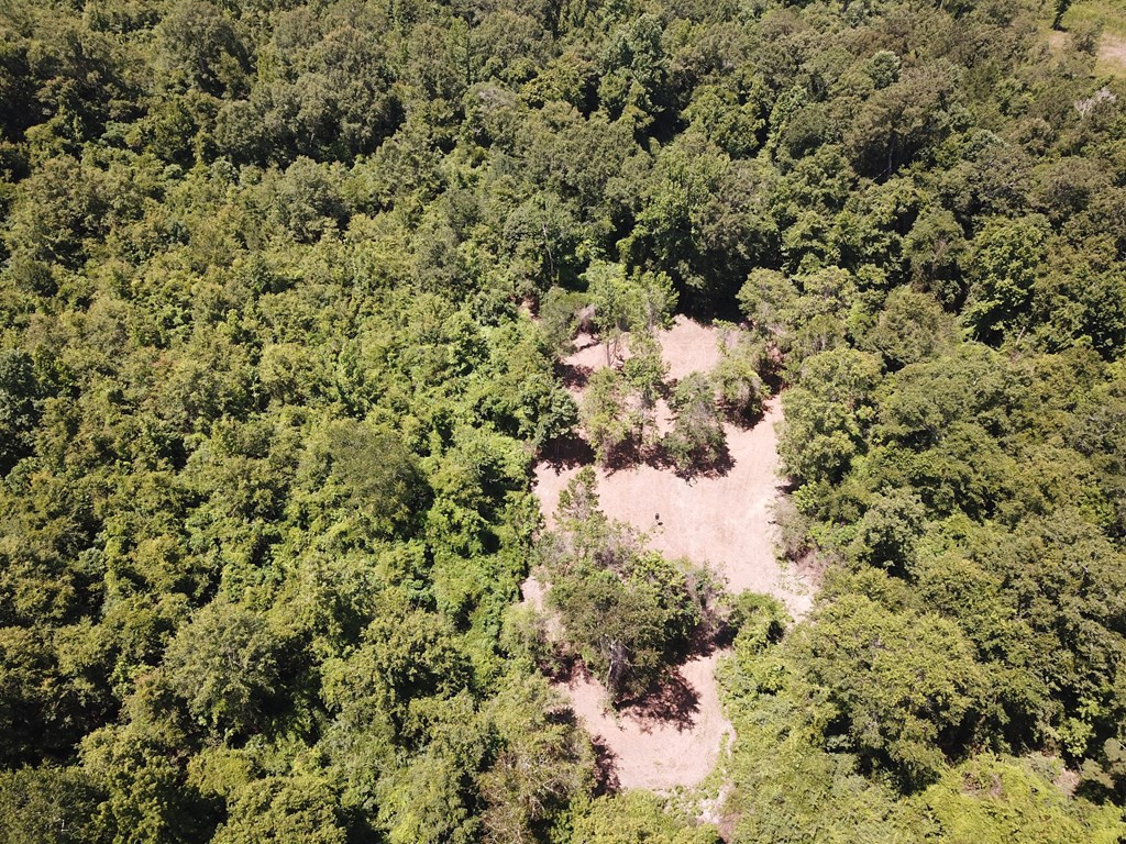 4350 Pumping Station Road Osyka, MS 39657 - Photo 5 of 33 Photo 5