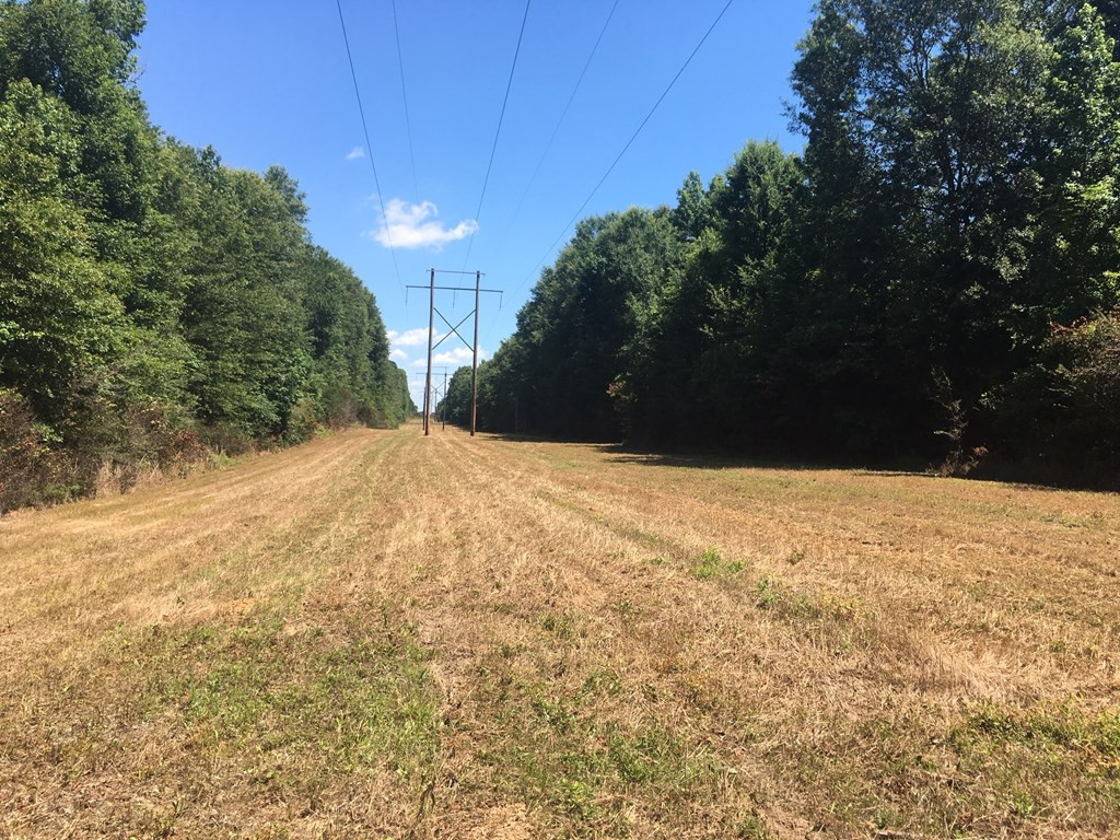 4350 Pumping Station Road Osyka, MS 39657 - Photo 10 of 33 Photo 10