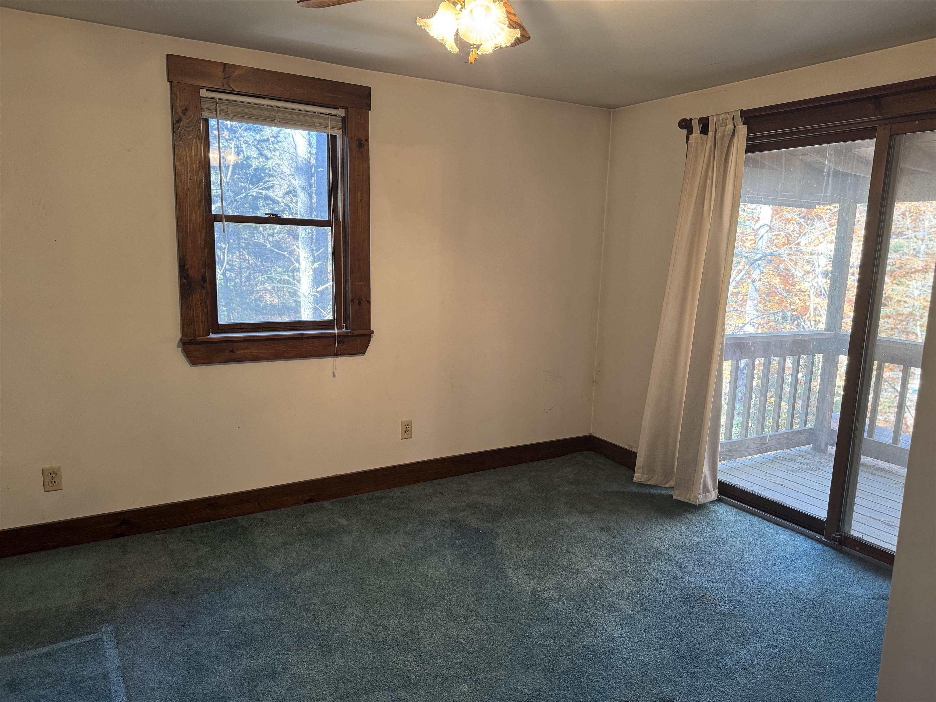 264 Hutchins Pond Road Effingham, NH 03882 - Photo 20 of 54 Gallery Image 20