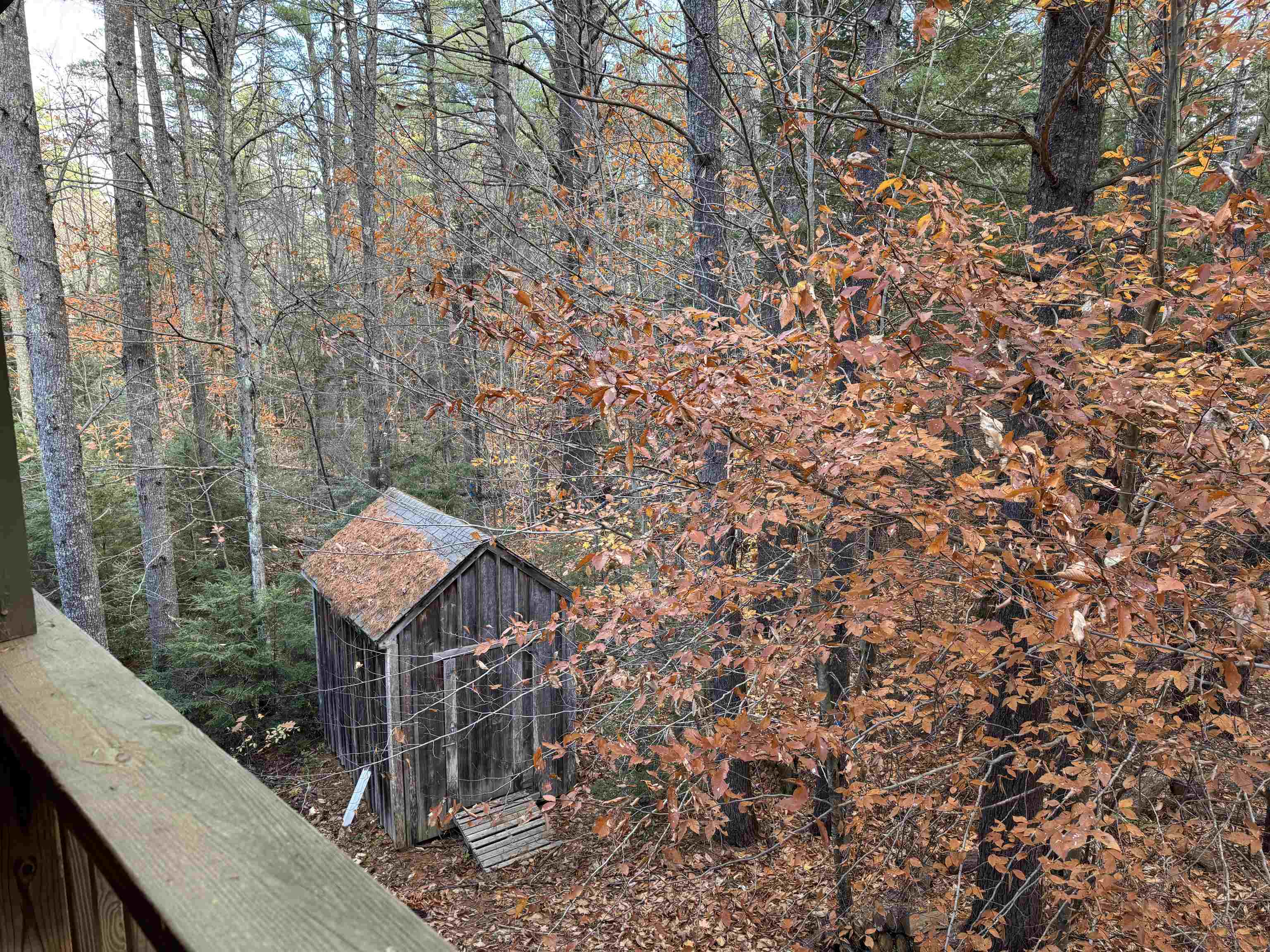 264 Hutchins Pond Road Effingham, NH 03882 - Photo 30 of 54 Gallery Image 30