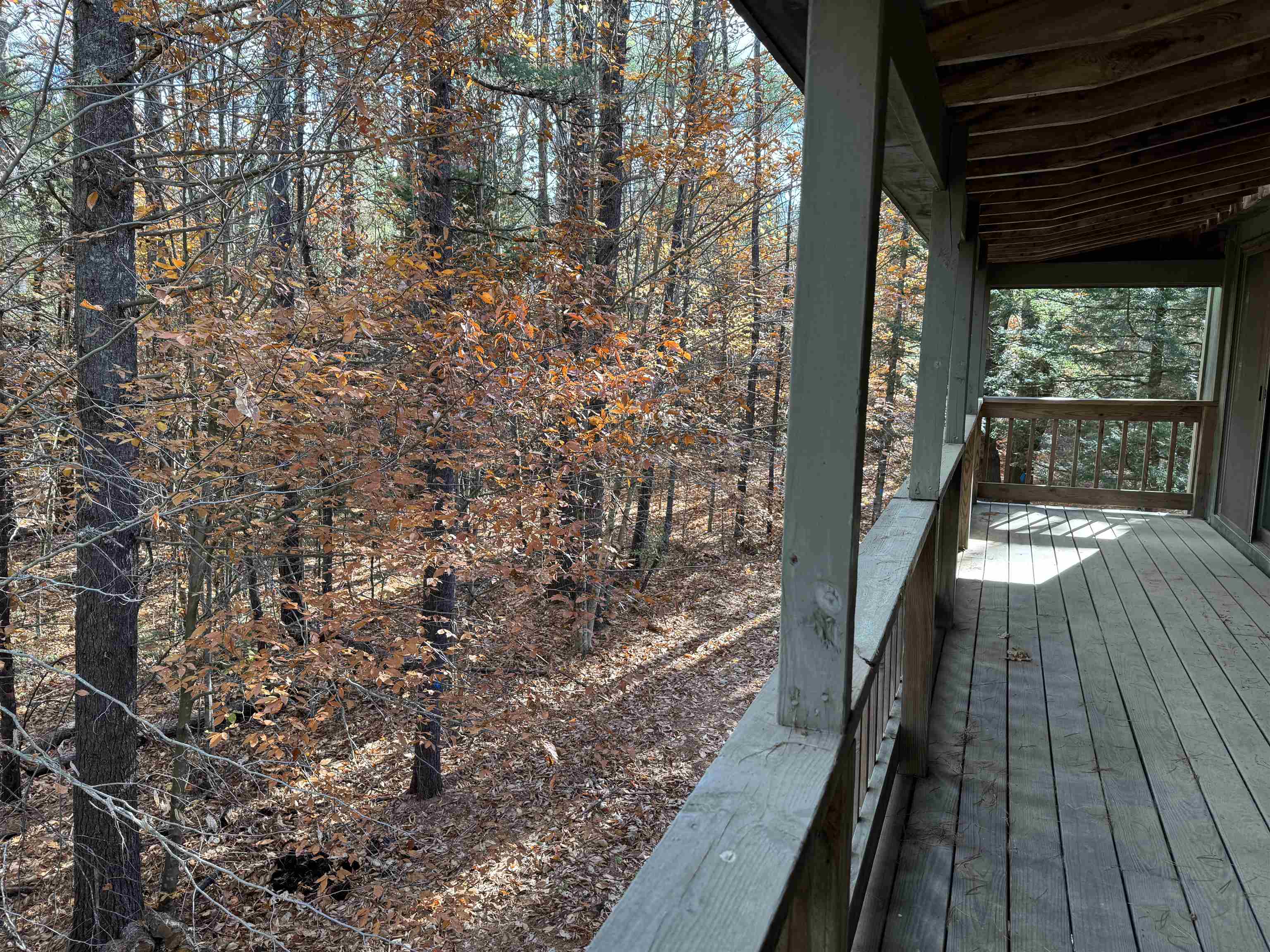 264 Hutchins Pond Road Effingham, NH 03882 - Photo 32 of 54 Gallery Image 32