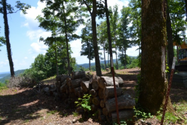 0 Rock Fish Road East Celina, TN 38551 - Photo 10 of 27