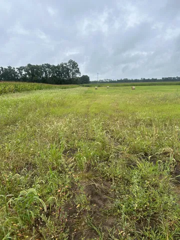 $170,000 | Lot 1 Orlando Avenue, Hastings, MN 55033