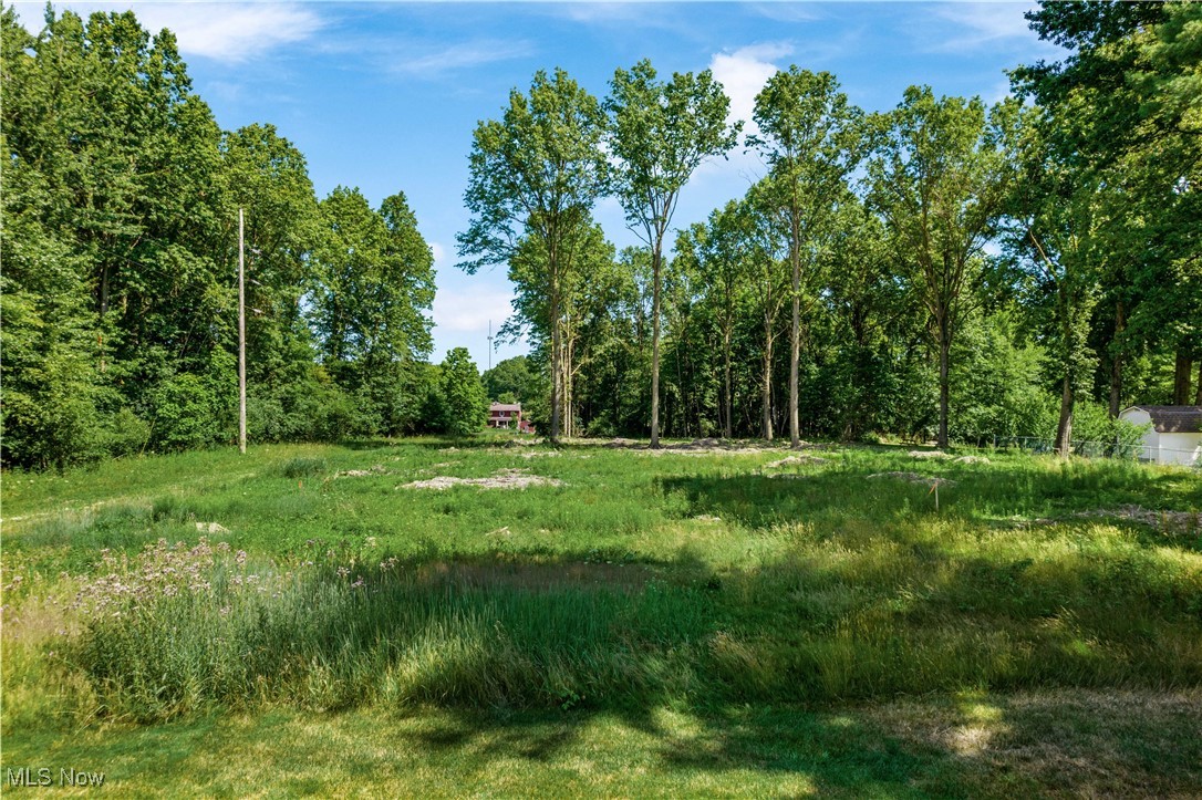 View of nature