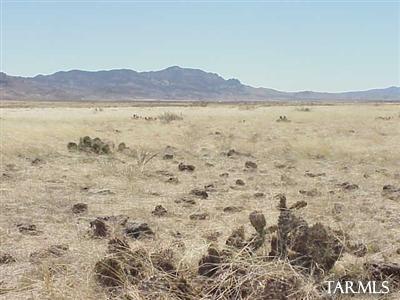 0 Coronado Valley Ranches San Simon, AZ 85632 - Photo 2 of 8