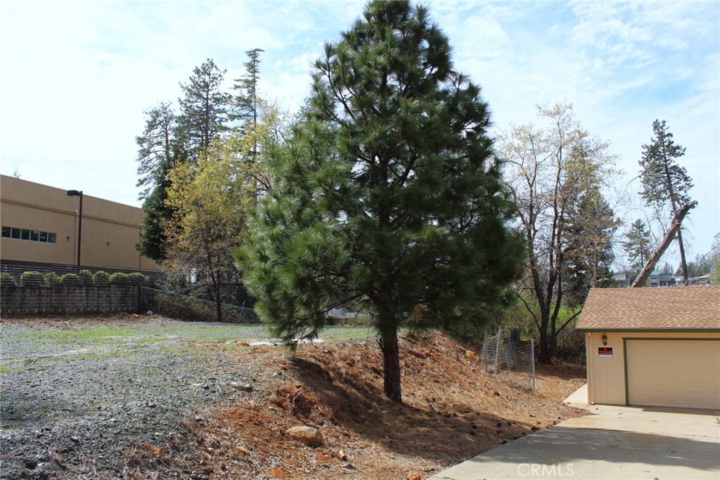6047 Clark Road Paradise, CA 95969 - Photo 12 of 14 a view of a backyard with large trees