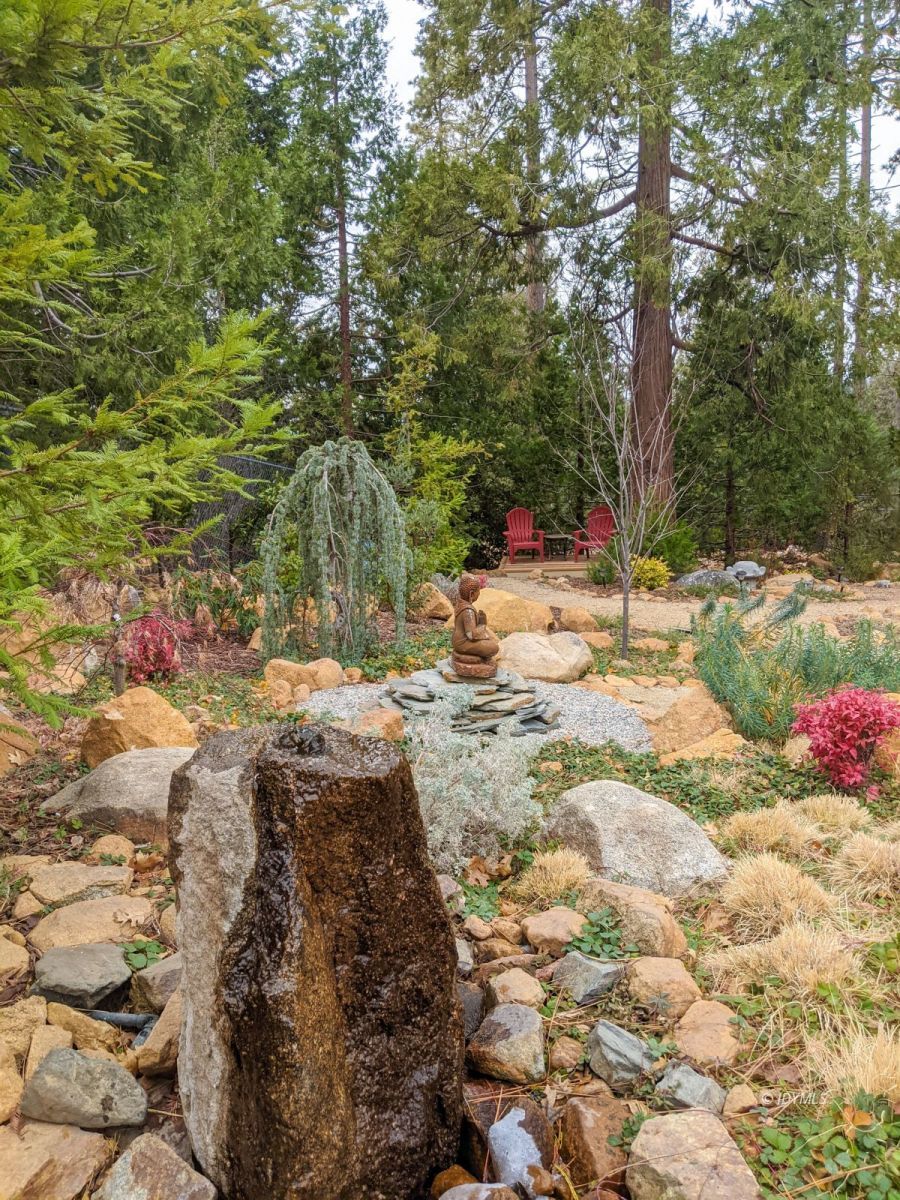 25505 Seneca Road Idyllwild, CA 92549 - Photo 42 of 60 a view of a trees with a yard