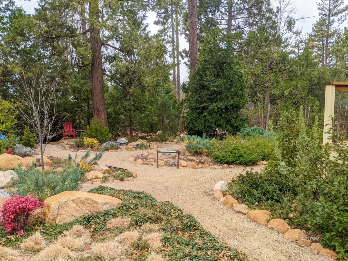 25505 Seneca Road Idyllwild, CA 92549 - Photo 43 of 60 a view of a backyard of the house