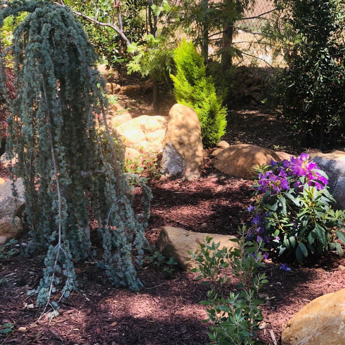25505 Seneca Road Idyllwild, CA 92549 - Photo 56 of 60 Untitled