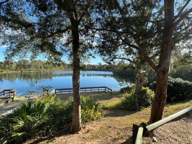 a view of a lake with a tree