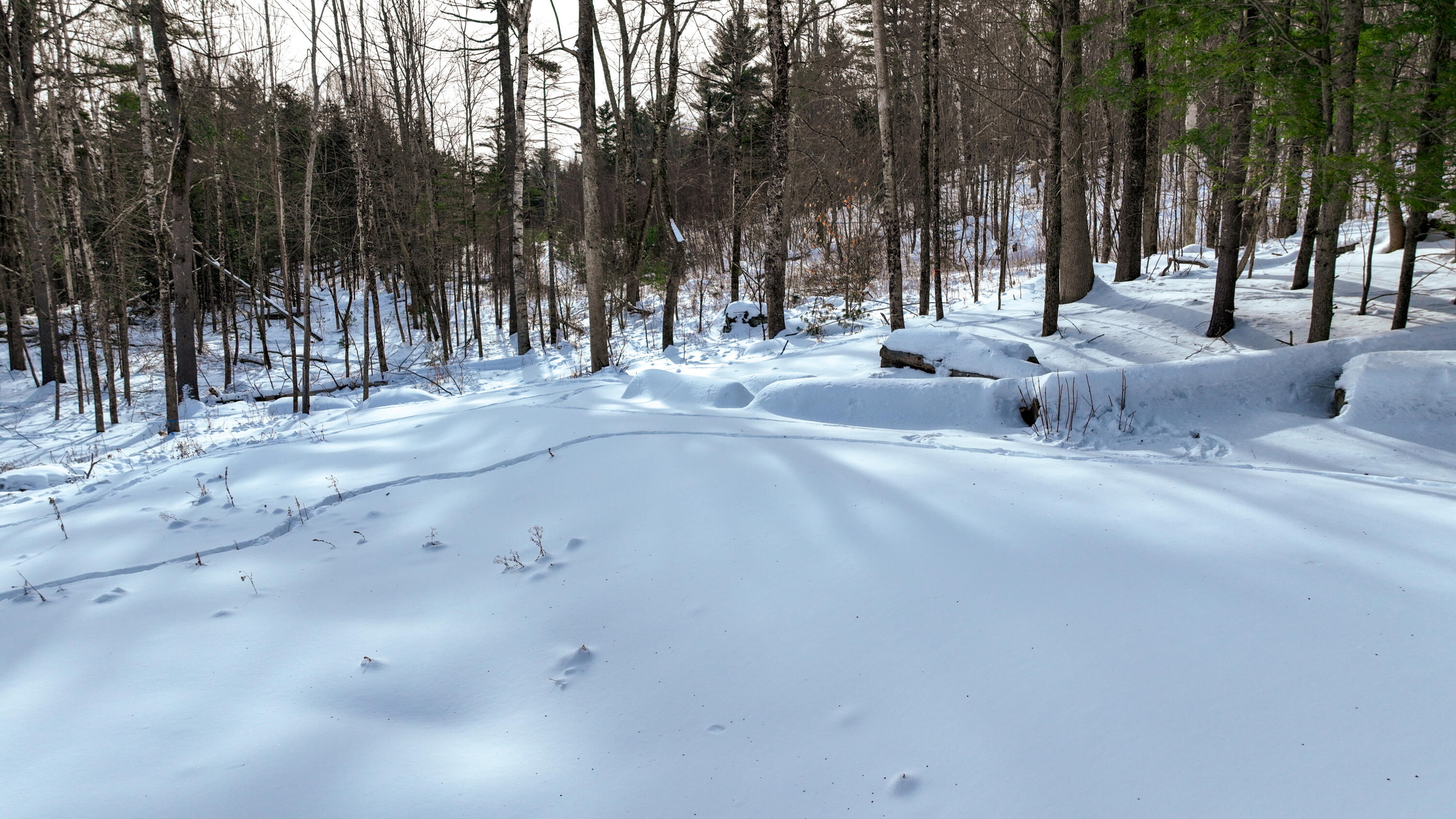 20 Skyscraper Hill Road Brooks, ME 04921 - Photo 5 of 35 dji_fly_20260201_102316_112_177016506916