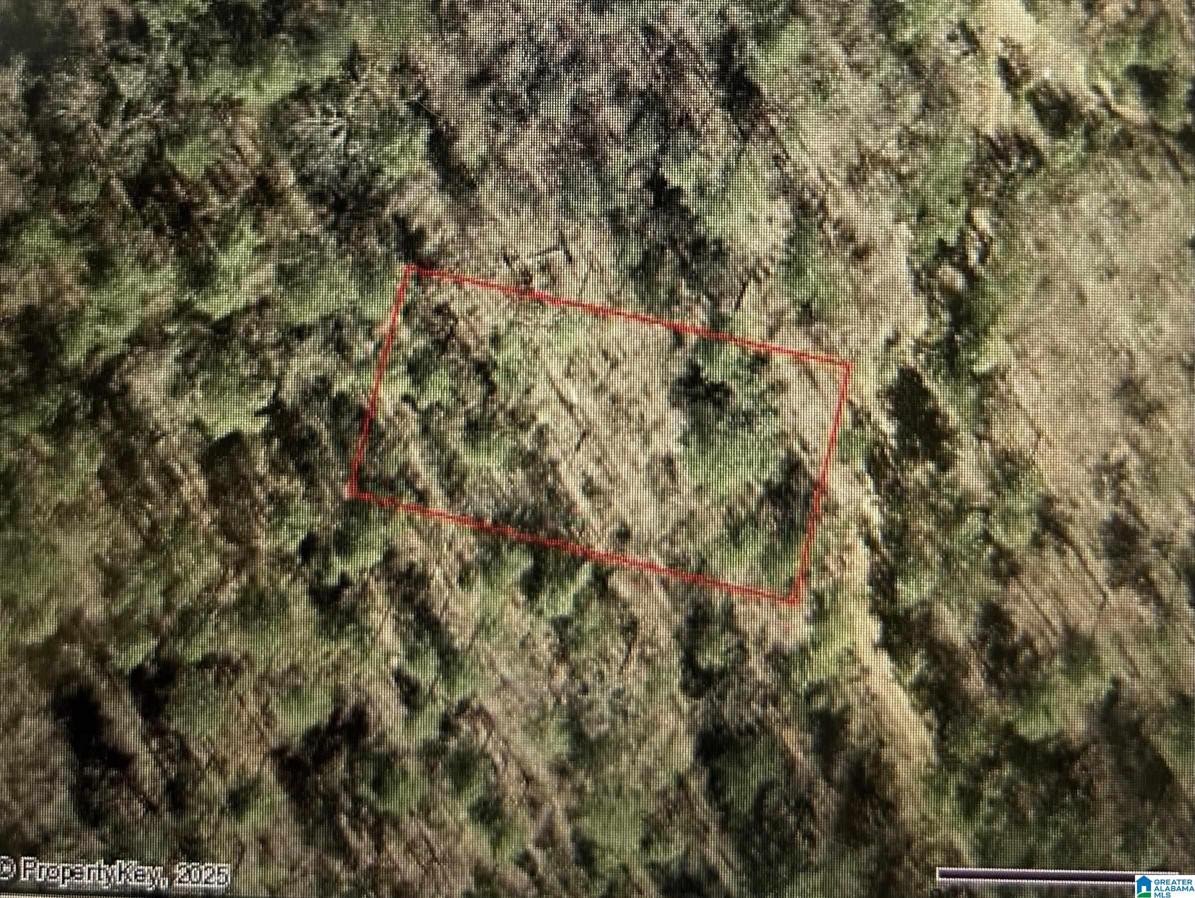 0 Gemini Circle, Unit LOT 53 Alpine, AL 35014 - Photo 4 of 4