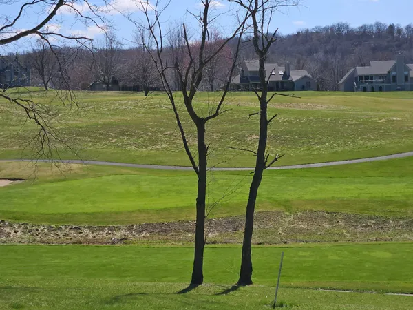 a view of a field with grass