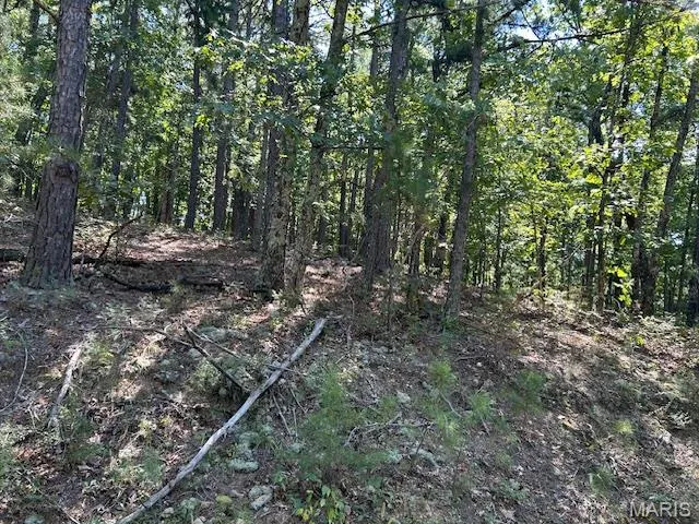 $163,500 | 1 County Road 137, Annapolis, MO 63620