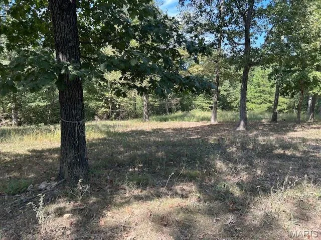 $163,500 | 1 County Road 137, Annapolis, MO 63620