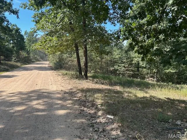 $163,500 | 1 County Road 137, Annapolis, MO 63620