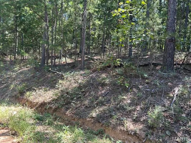 $163,500 | 1 County Road 137, Annapolis, MO 63620