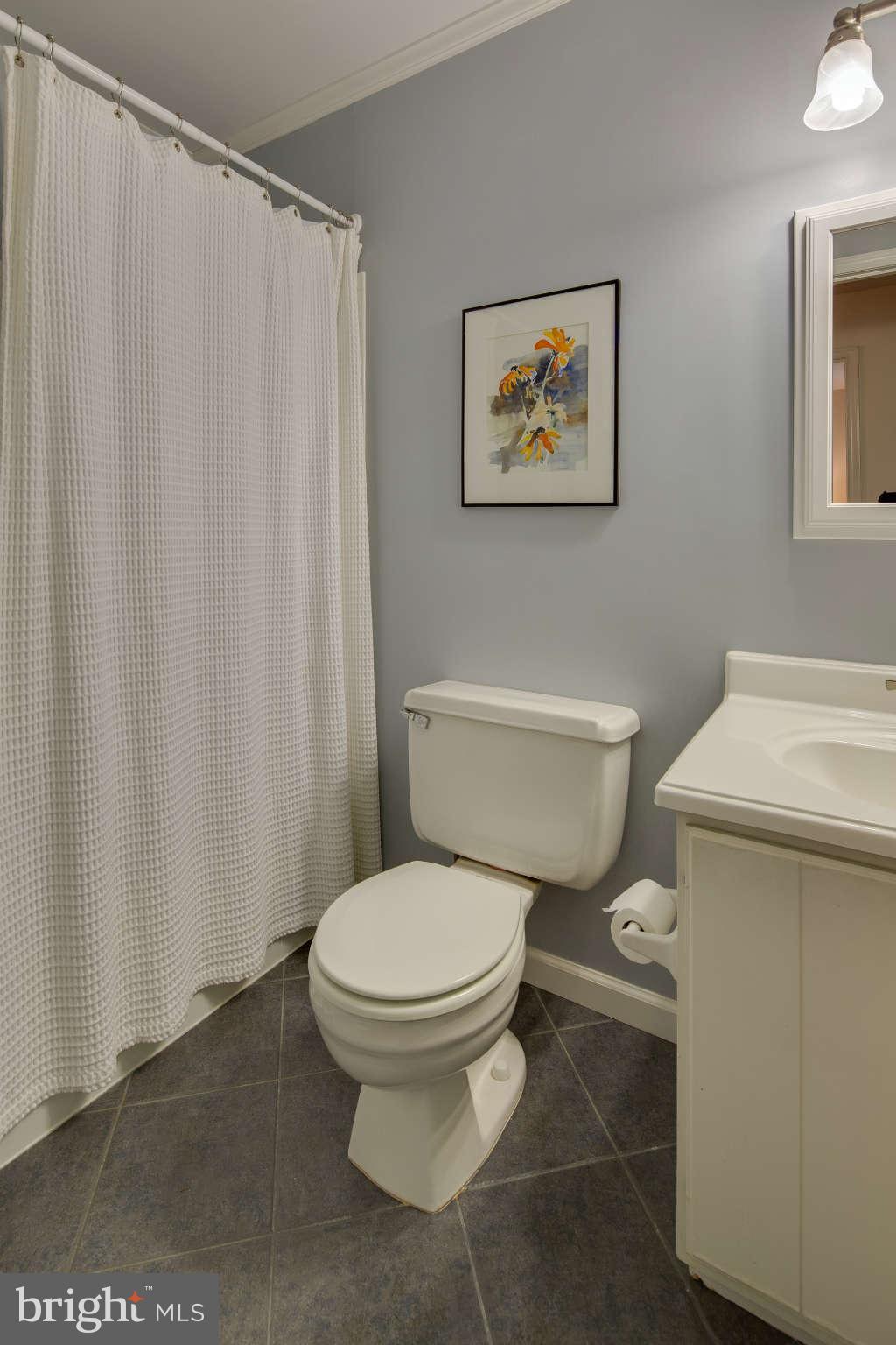 6900 Rawhide Ridge Columbia, MD 21046 - Photo 21 of 30 Bath