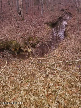 $22,500 | Lot 45 Indian Trail, Monterey, TN 38574