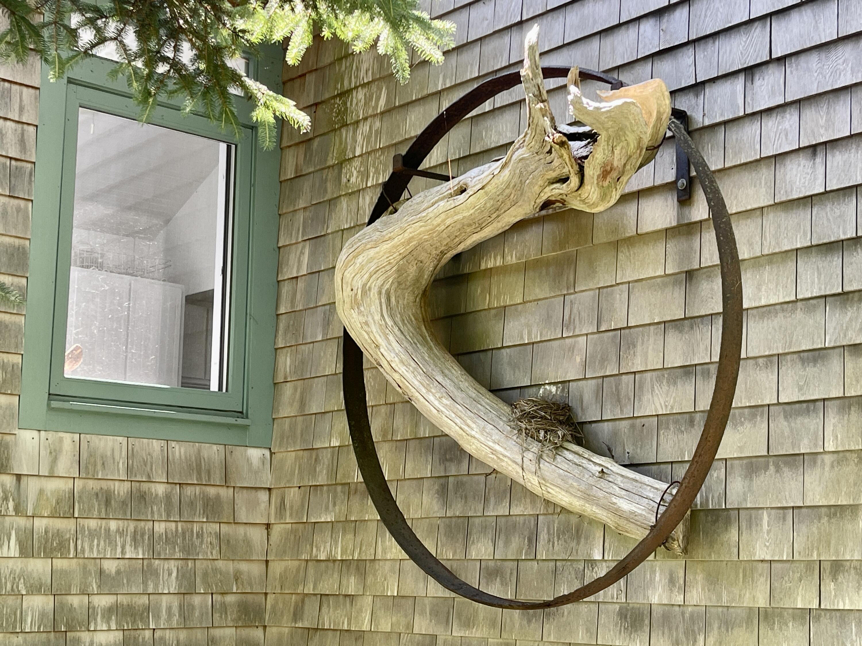 800 Straight Bay Road Lubec, ME 04652 - Photo 20 of 148 IMG_4023