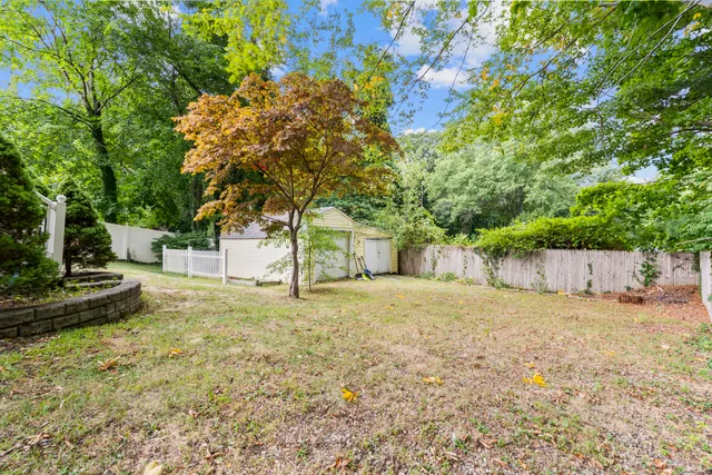 a view of a yard with plants and trees
