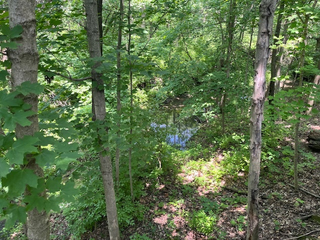 2795 East 28th Road Marseilles, IL 61341 - Photo 24 of 64