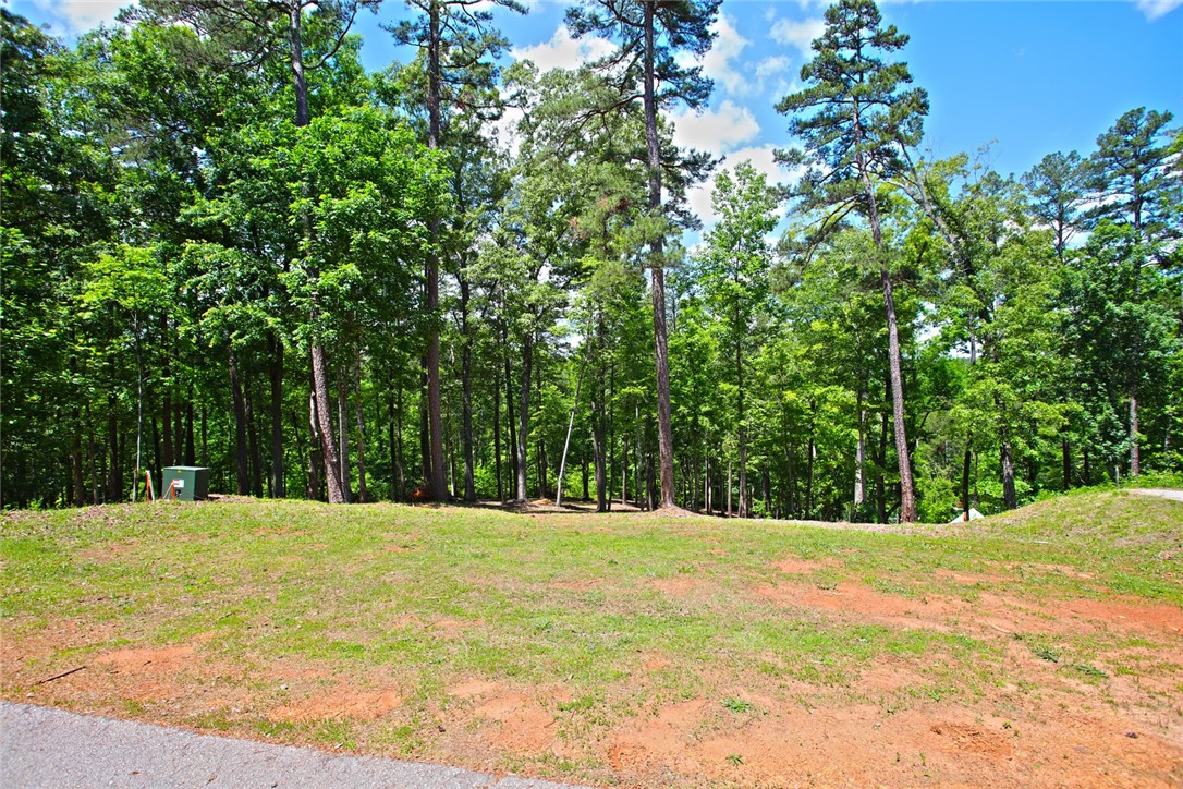Lot 114 Harbor Point Seneca, SC 29672 - Photo 13 of 46 This spacious lot offers abundant greenery, perfect for creating your secluded sanctuary.