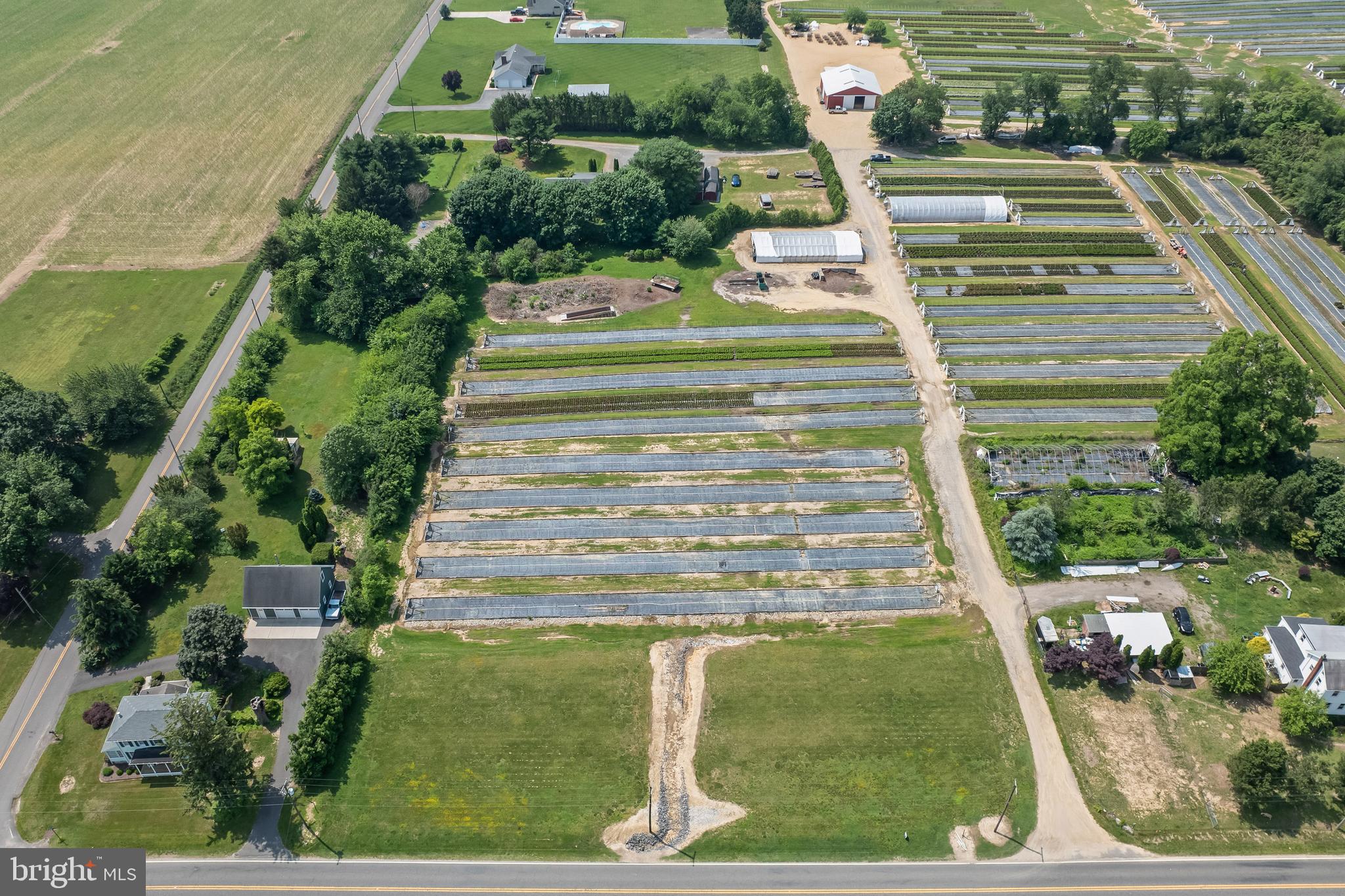 360 Harmony Road Bridgeton, NJ 08302 - Photo 15 of 23 a view of a yard with flower plants