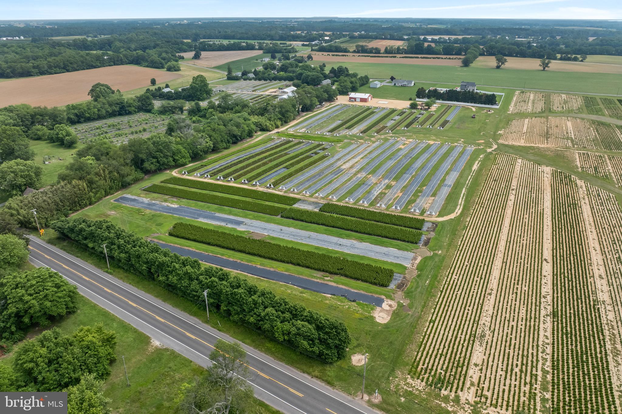 360 Harmony Road Bridgeton, NJ 08302 - Photo 22 of 23 a view of a lake with a yard