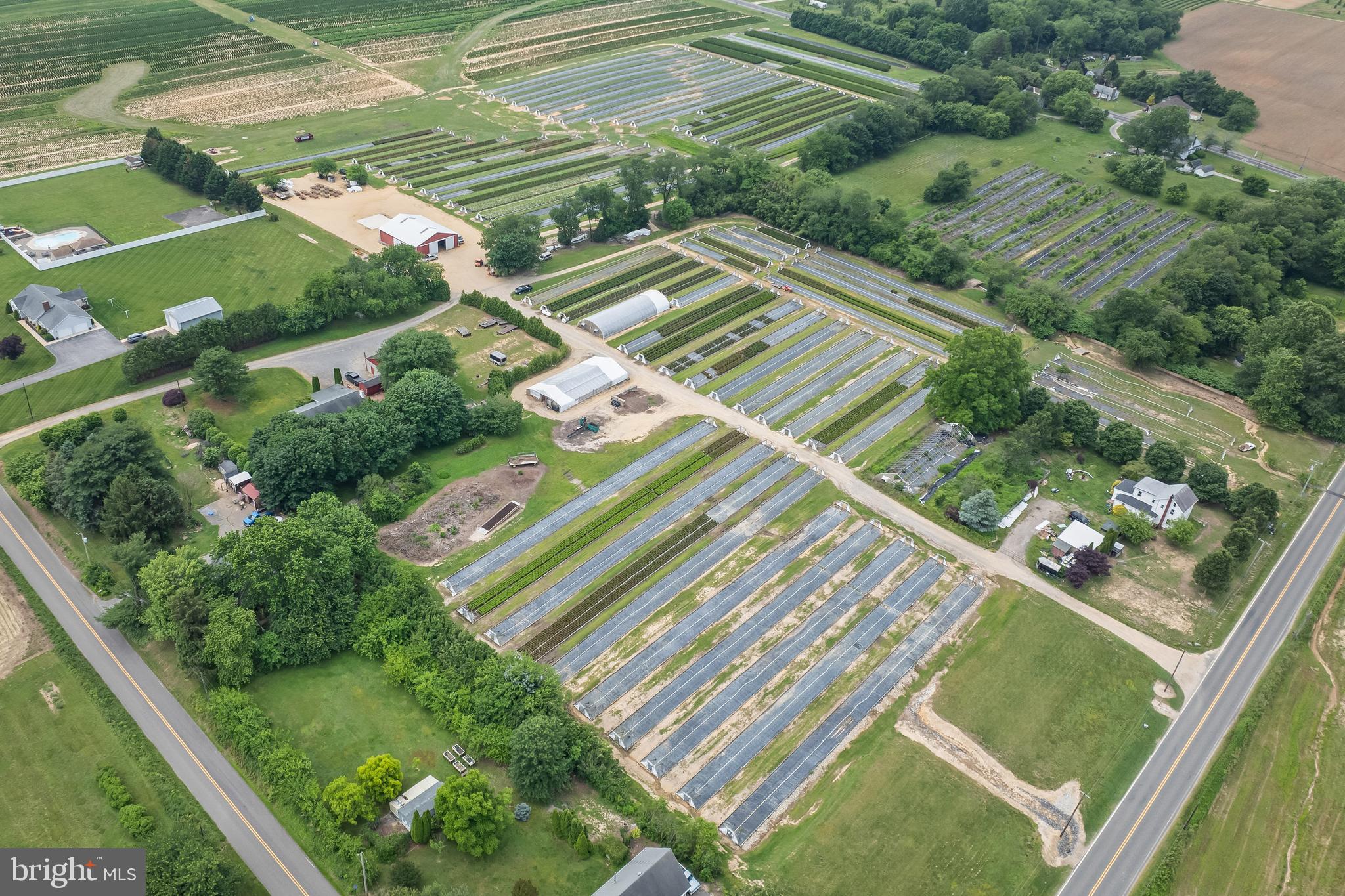 360 Harmony Road Bridgeton, NJ 08302 - Photo 23 of 23 a view of a yard