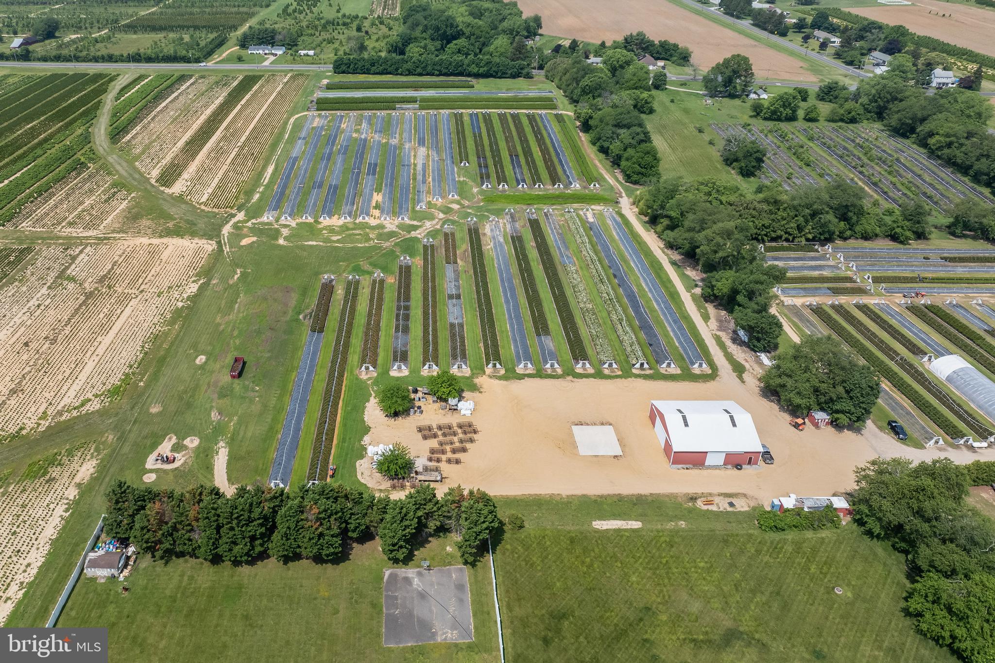360 Harmony Road Bridgeton, NJ 08302 - Photo 10 of 23 a view of a yard