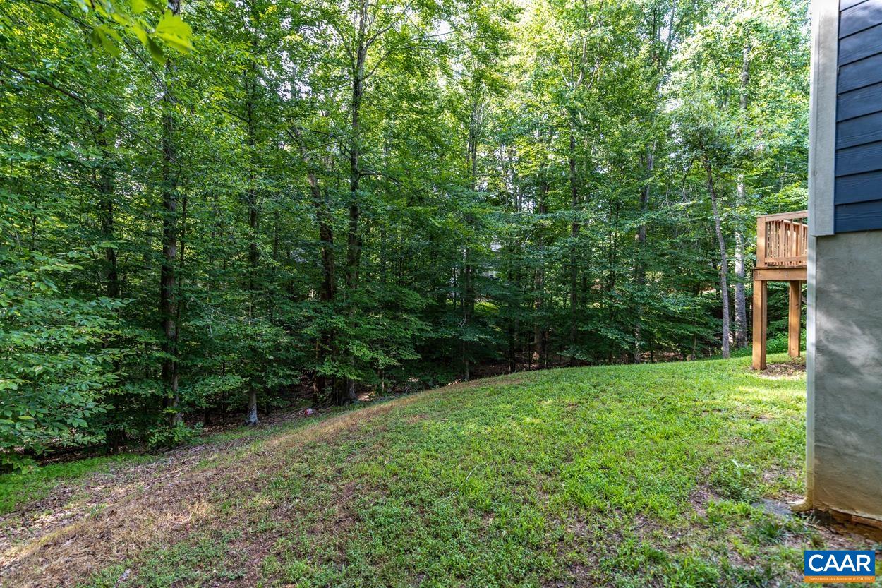 45 East Point Road Palmyra, VA 22963 - Photo 12 of 55 a view of a back yard
