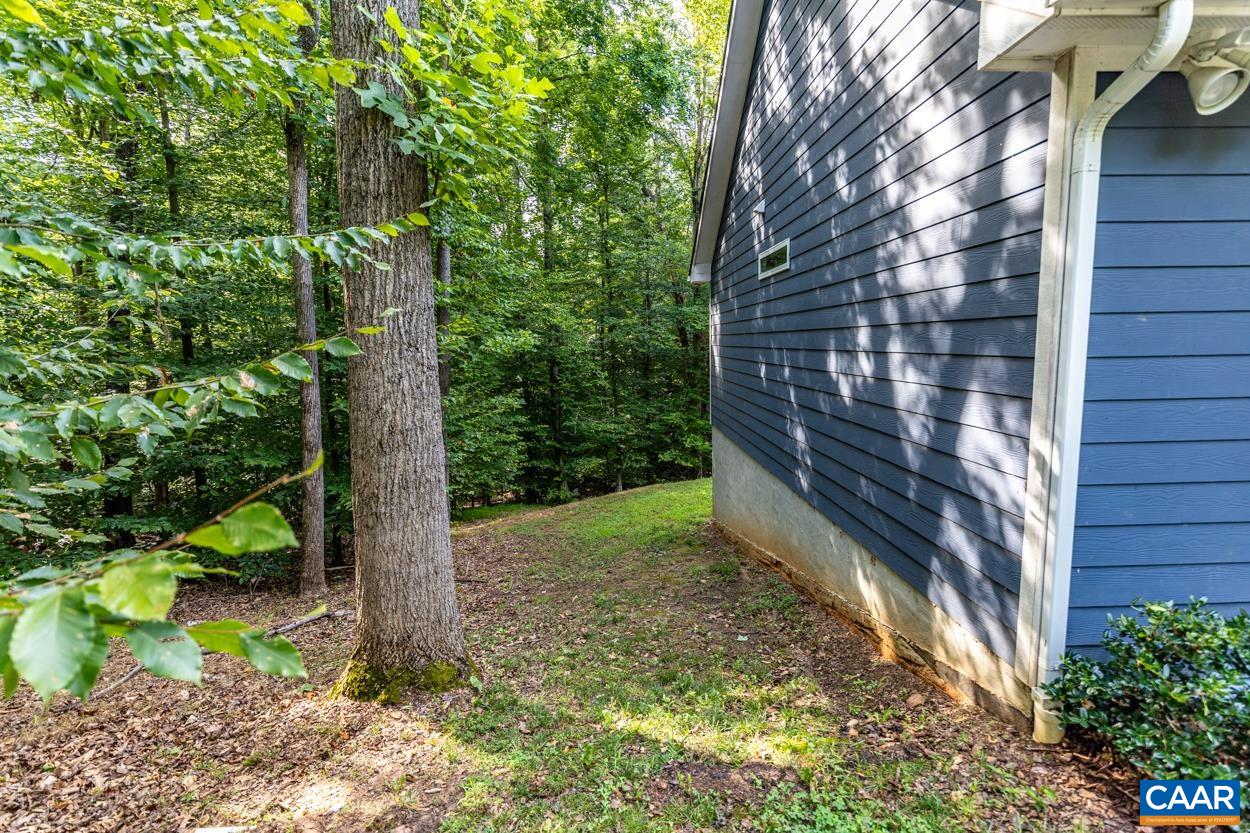 45 East Point Road Palmyra, VA 22963 - Photo 13 of 55 a view of a yard with plants and a large tree