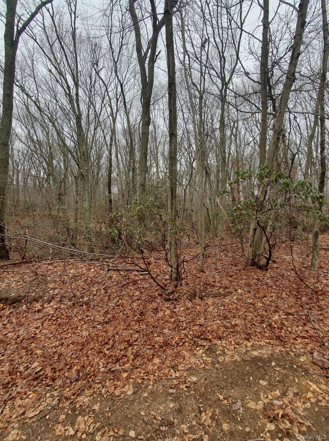 260 Old Mill Road St. James, NY 11780 - Photo 2 of 5 Facing South