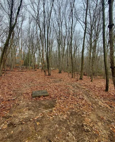 a view of a yard with trees