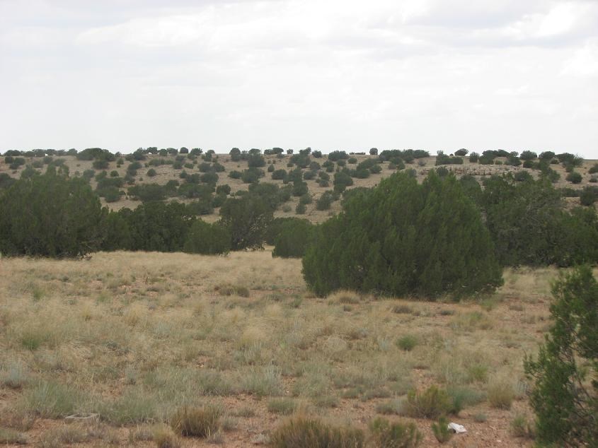 Lot 25 Chevelon Canyon Ranch Heber, AZ 85928 - Photo 1 of 3