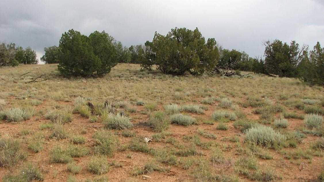 Lot 25 Chevelon Canyon Ranch Heber, AZ 85928 - Photo 2 of 3