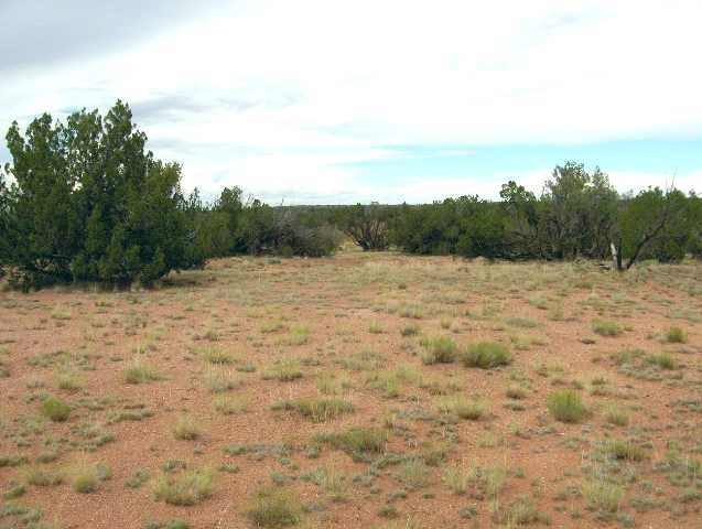Lot 25 Chevelon Canyon Ranch Heber, AZ 85928 - Photo 3 of 3