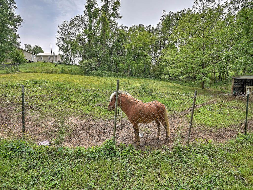 372 Greenlee Road Johnson City, TN 37601 - Photo 25 of 31 Horse does not convey
