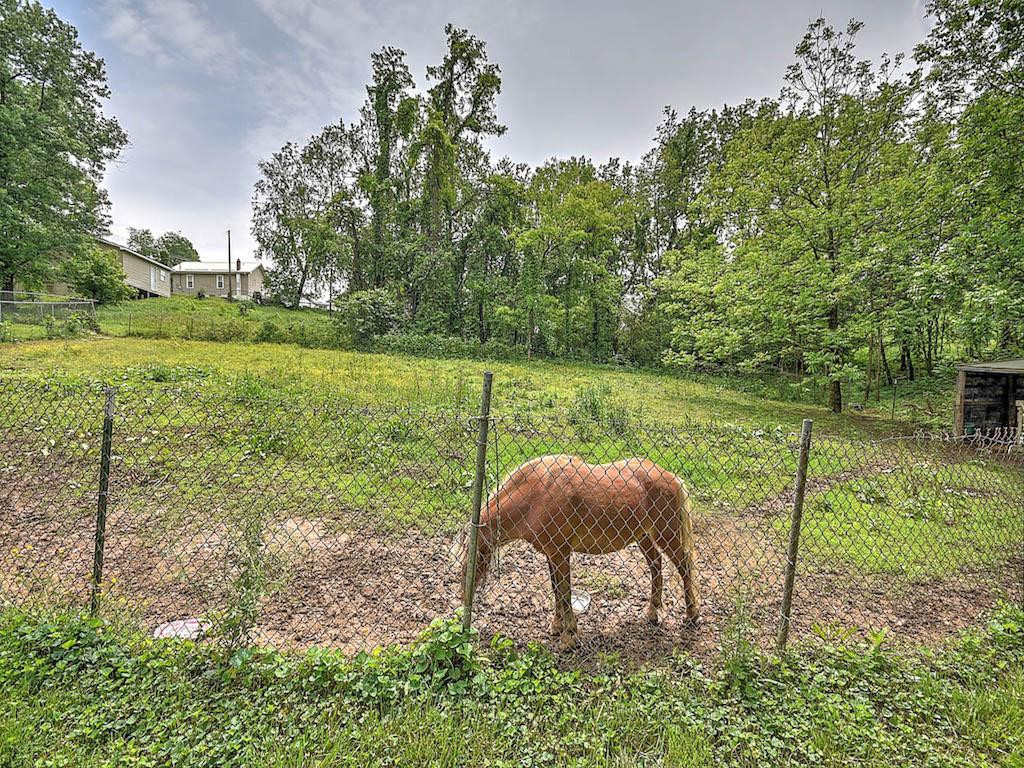 372 Greenlee Road Johnson City, TN 37601 - Photo 26 of 31 Photo 26